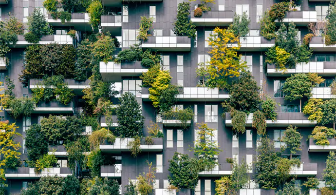 44754706c_thumb5_690x4002